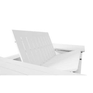 Tavolo da Giardino Allungabile 200-300×110 – WARD