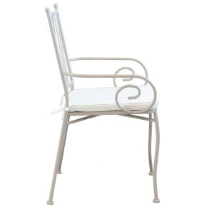 2592_FE802577_3.jpeg Poltrona da Giardino con cuscino in Acciaio cm 53x55x90 – NEVIL