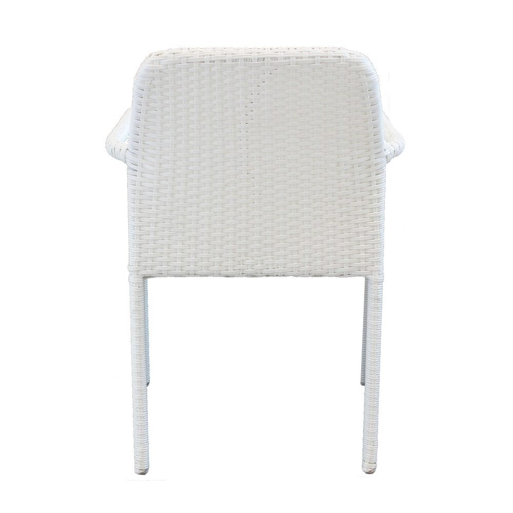 Poltrona da Giardino in Wicker,Acciaio cm 55×59,5×84 – AXEL