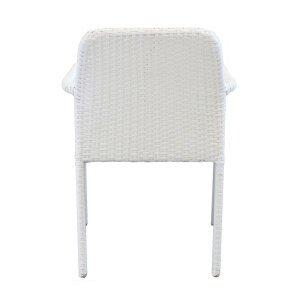 Poltrona da Giardino in Wicker,Acciaio cm 55×59,5×84 – AXEL