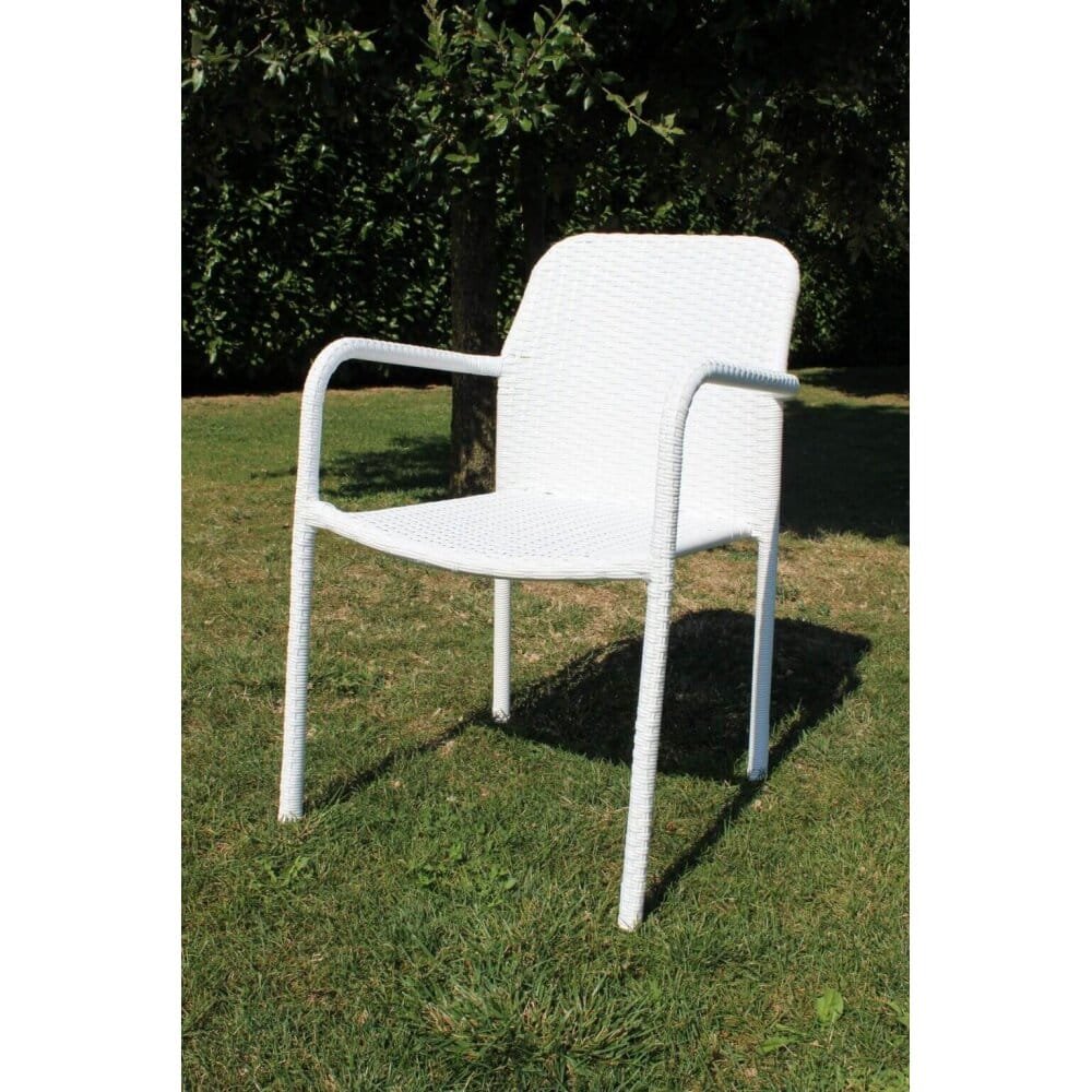 Poltrona da Giardino in Wicker,Acciaio cm 55×59,5×84 – AXEL