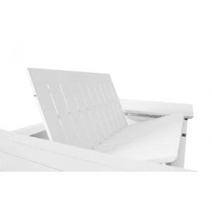 Tavolo da Giardino Allungabile 200-300×110 – WARD