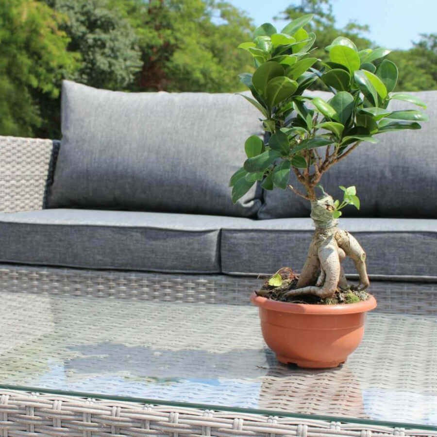 Salotto da Giardino con cuscini 5 posti in Alluminio,Wicker – NATHAN
