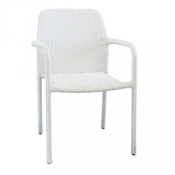 Poltrona da Giardino in Wicker,Acciaio cm 55×59,5×84 – AXEL