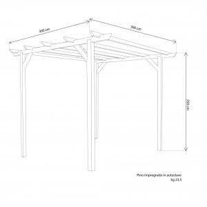 Pergola da Giardino 3×2,5 in legno – FRANCE