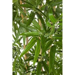 Pianta Bamboo con Vaso (2 Pezzi) – BAMBOO