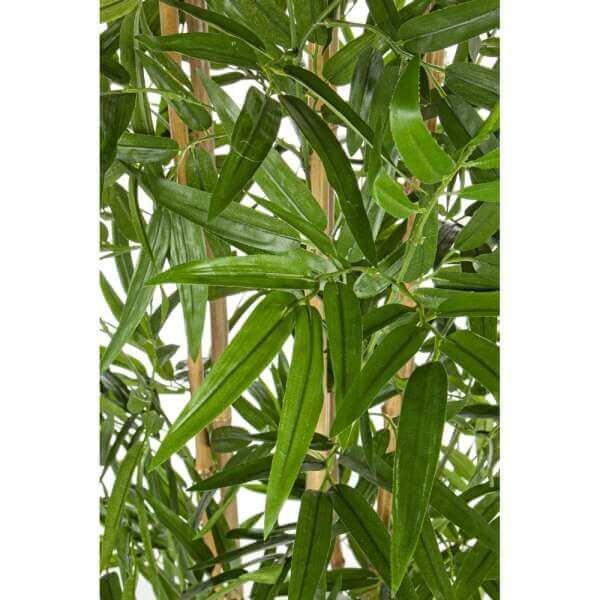 Pianta Bamboo con Vaso (2 Pezzi) – BAMBOO