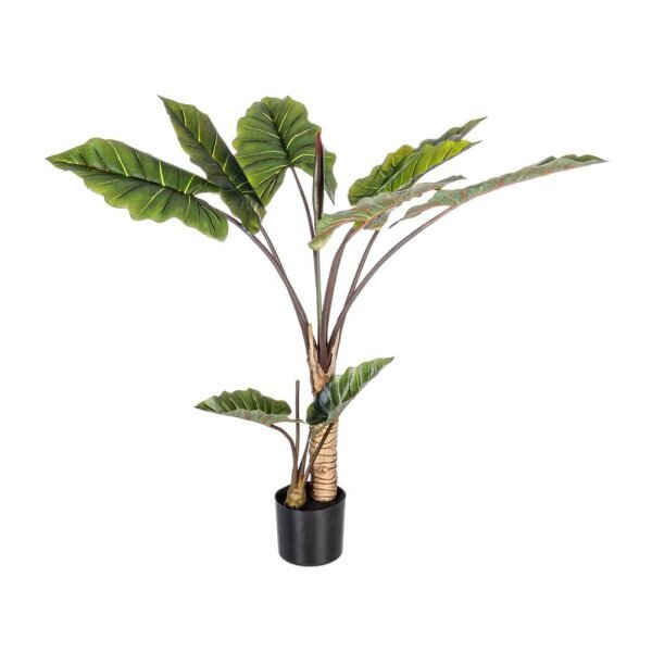 Pianta a con Vaso 10Foglie H134 (2 Pezzi) – SERENICO