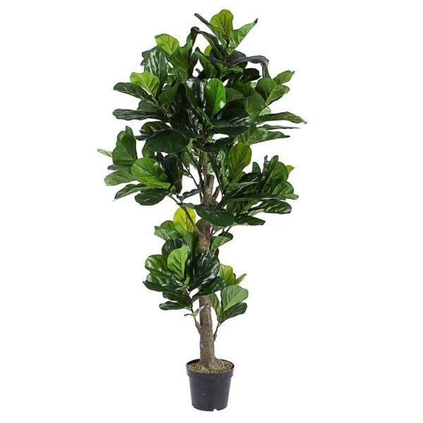 Pianta con Vaso 153Fogl H190 – EMBRACIA