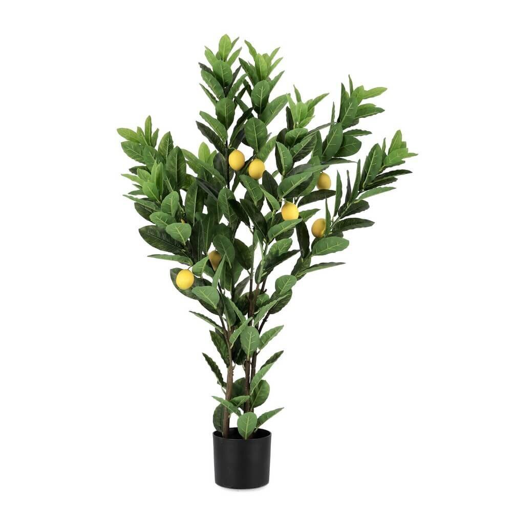 Pianta con Vaso 224Foglie H115 (2 Pezzi) – RIVA