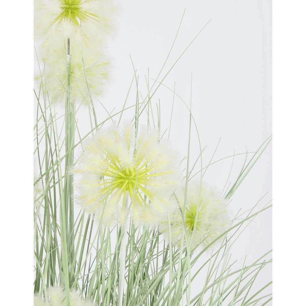 Pianta Cebolla Bianca con Vaso X7F H105 (4 Pezzi) – IMPERIALE
