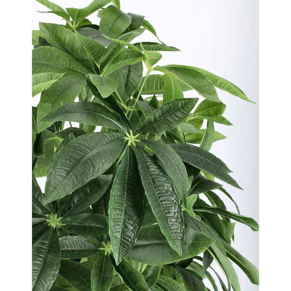 Pianta Aquatica con Vaso 360F H160 (2 Pezzi) – TRANQUILO
