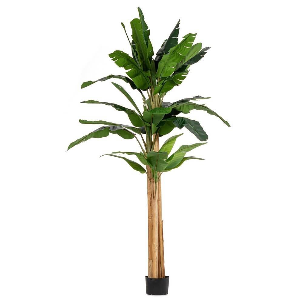 Pianta con Vaso 30 Foglie H320 – ZENITALE
