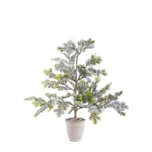 Pino Iceberg innevato con vaso H60