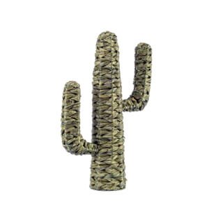 Cactus Saguaro Verde H59 (4 Pezzi) - PYRIS