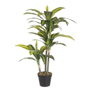 Pianta Dracaena con Vaso 43Foglie H88Cm (2 Pezzi) - SERAPHIM