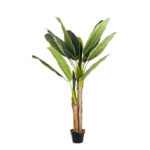 Pianta con Vaso 14Foglie H135 (2 Pezzi) - ZENITALE
