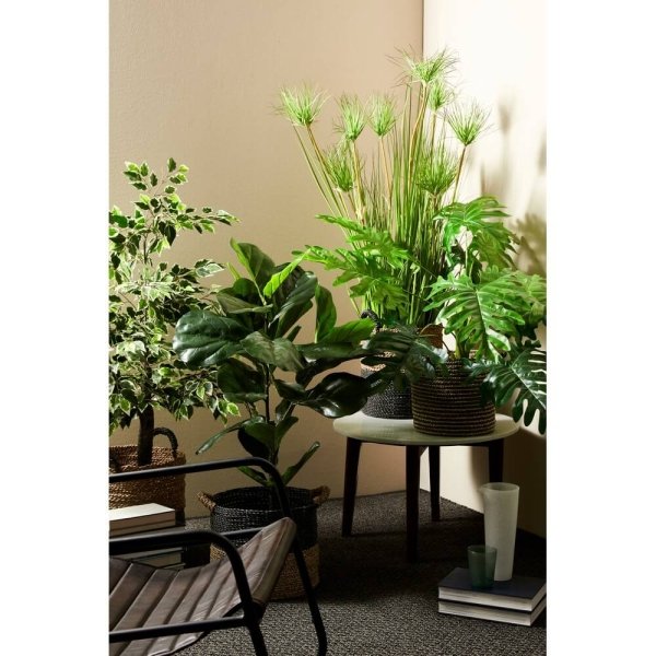 Pianta DeserVerde con Vaso X9F H120 (4 Pezzi) – ECLISSE