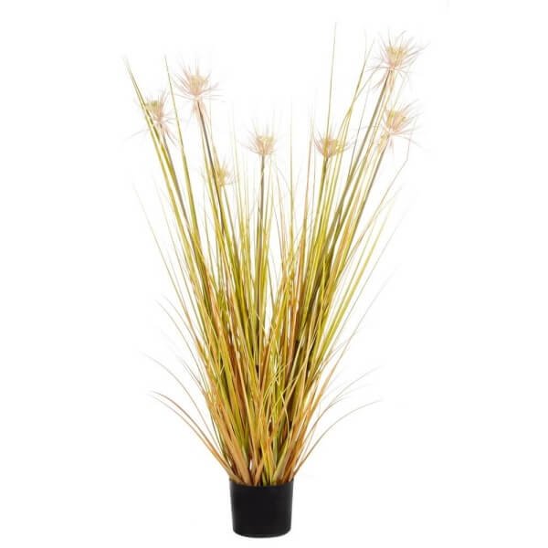 Pianta DeserPaglia con Vaso X7F H120 (4 Pezzi) - ECLISSE