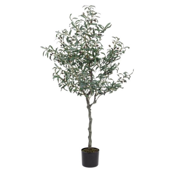 Pianta con Vaso Foglie H150 - ESSENZIALE