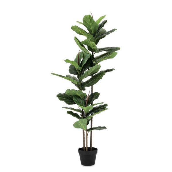 Pianta con Vaso 39Foglie H145 (2 Pezzi) - EMBRACIA