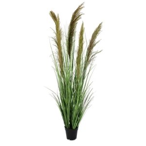 Pianta Pampas verde Marr con Vasoa H145 (4 Pezzi) - SILHOUETTIA