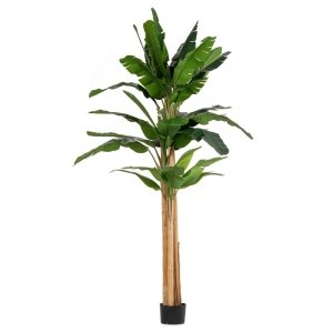 Pianta con Vaso 30 Foglie H320 - ZENITALE