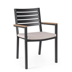 Sedia da giardino con braccioli e cuscino (4 Pezzi) - CARMEYA