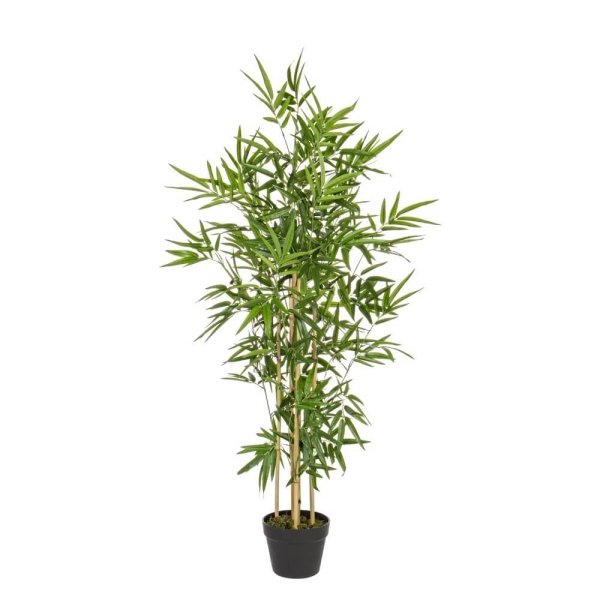 Sedia regista in bamboo pieghevole - BAMBOO - Verde, H130