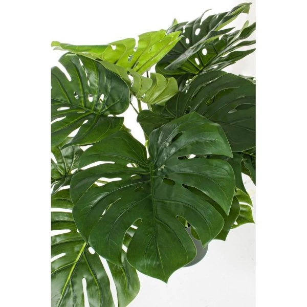 Alternative view of Set 2 Piante con Vaso Plastica Verde H65 cm da Interno - NEBULAR