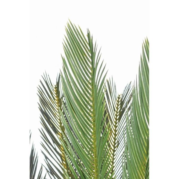Alternative view of Pianta Cycas Plastica Verde Moderna da Interno H120 cm - EDEN