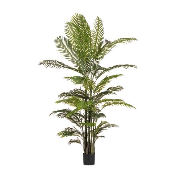 Pianta con Vaso Plastica Verde da Interno H210 cm - REGALO