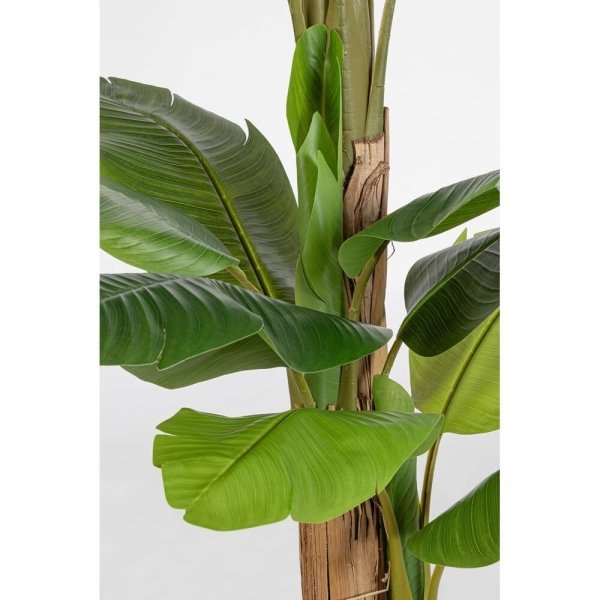 Alternative view of Pianta con Vaso Plastica Verde da Interno H200 cm - ZENITALE