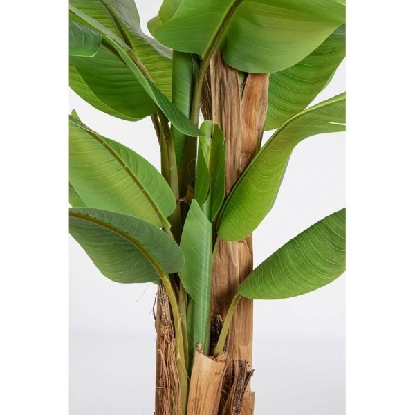 Alternative view of Pianta con Vaso Plastica Verde da Interno H240 cm - ZENITALE