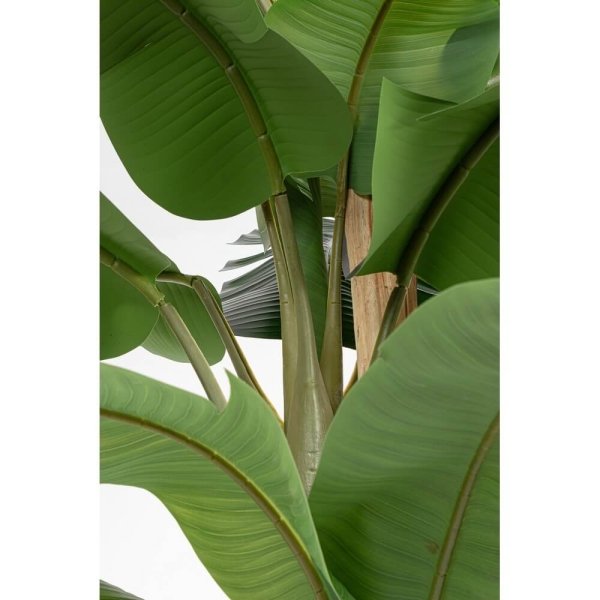 Alternative view of Pianta con Vaso in Plastica Verde da Interno H320 cm - ZENITALE