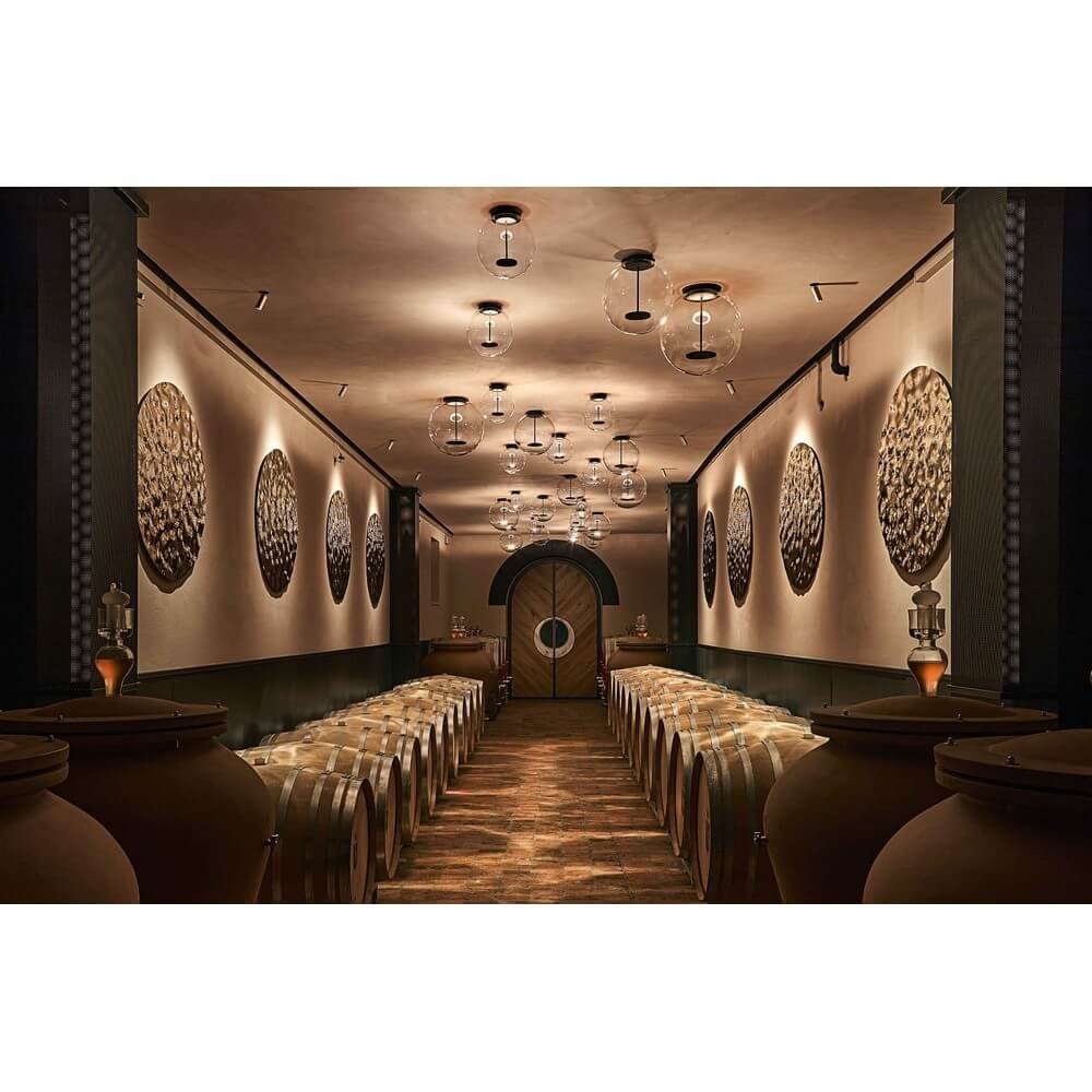 DSC-AXP-D850-SP08-BU-SM-25-PZ1_6